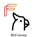 Bird_text