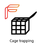 Cage_text
