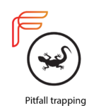 Pitfall_text